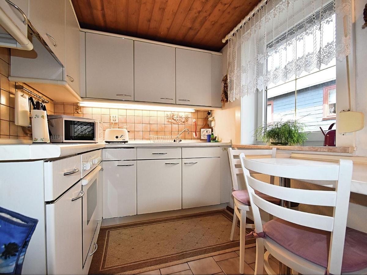 Apartment In Thuringian Forest With Garden Oberweißbach Eksteriør billede